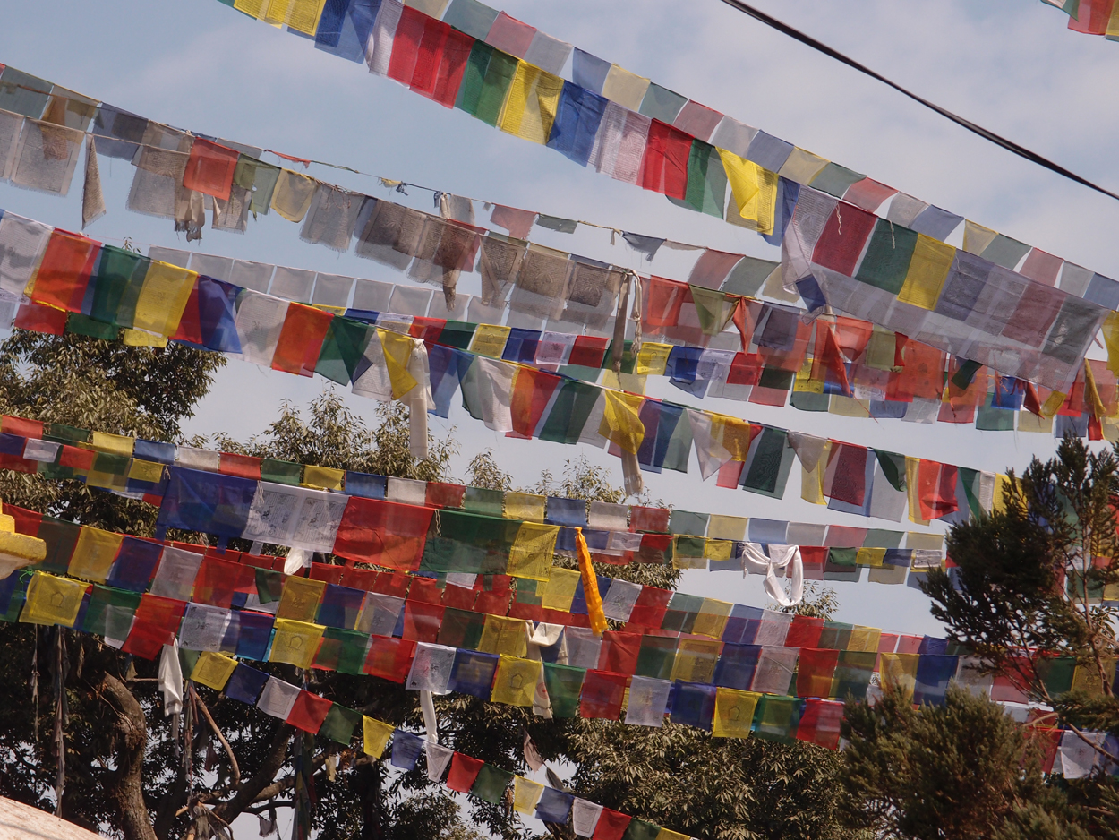 2018-01-14 13 Uhr - Am Tempel (Audio, Foto) 